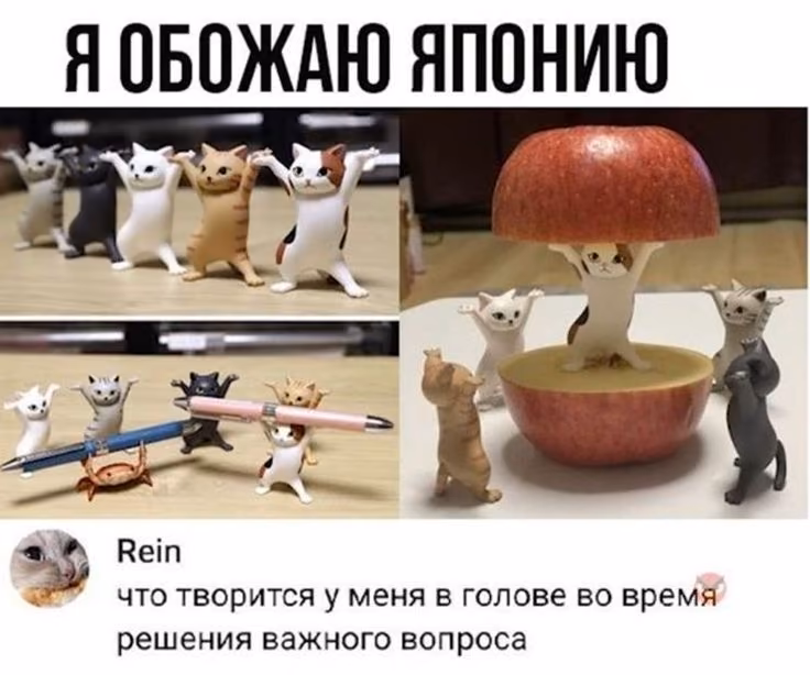4a449b96c42389f5ccad86879b10da0c.avif