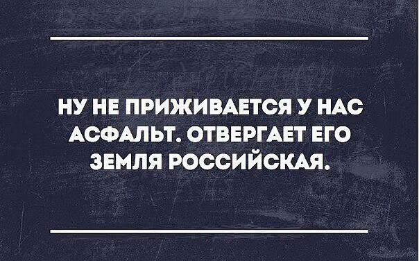 4a51286d48259ba0f829e40d2cb63a12.jpg