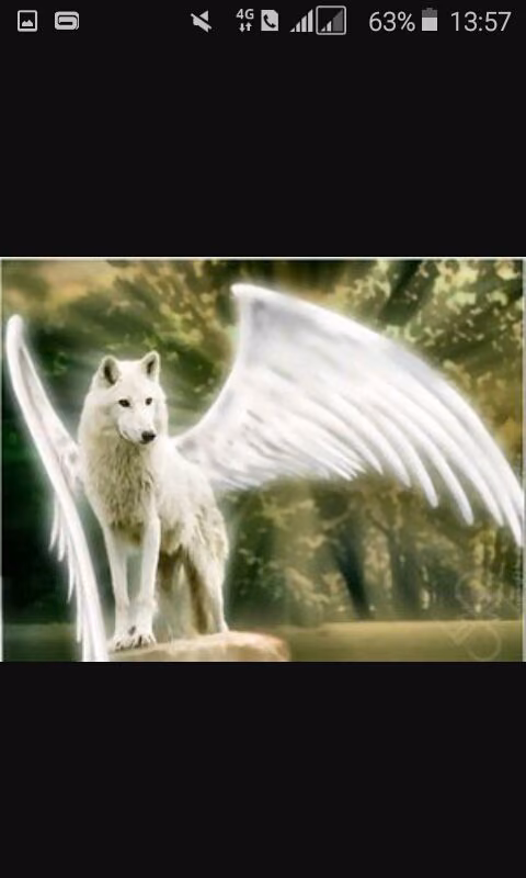 4a58e316b7f1d77afee259ac34c9f003.avif