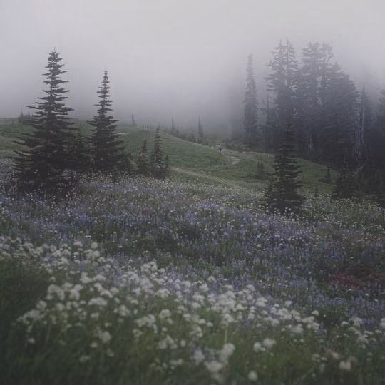 4a61c5a73161158d7abd6b723c222685.jpg