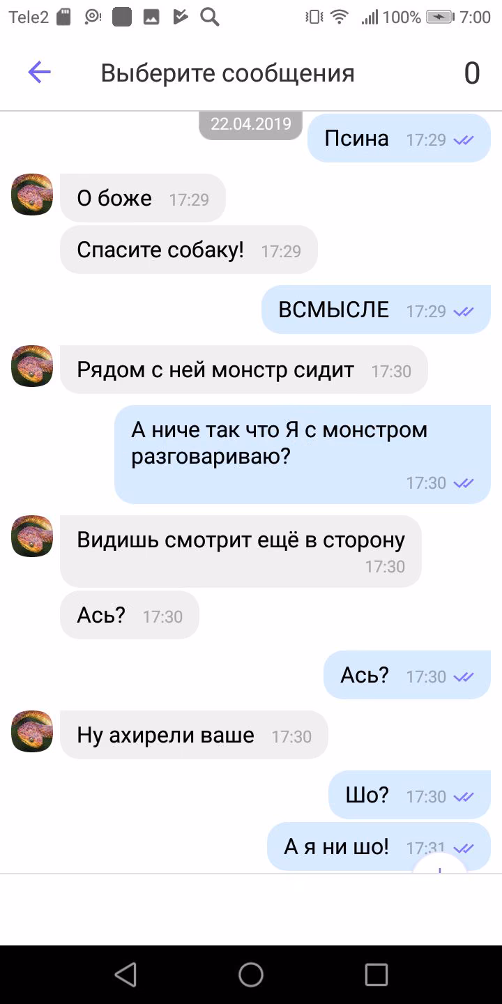 4a685bb8292ef2d16b4cc87c9b195264.jpg