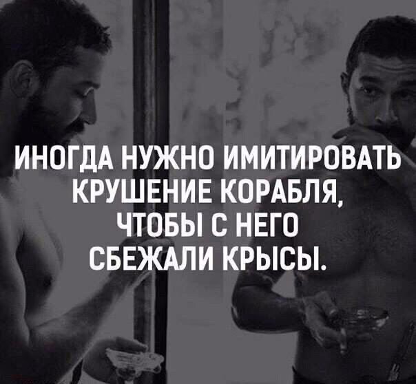 4a7281d12f90ed6c818417d4b9c580c6.avif