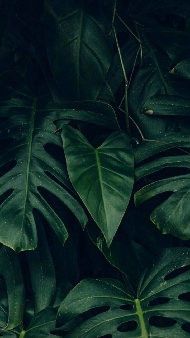 4a87f6c120a7522a5d15f95eeb53bc61.avif