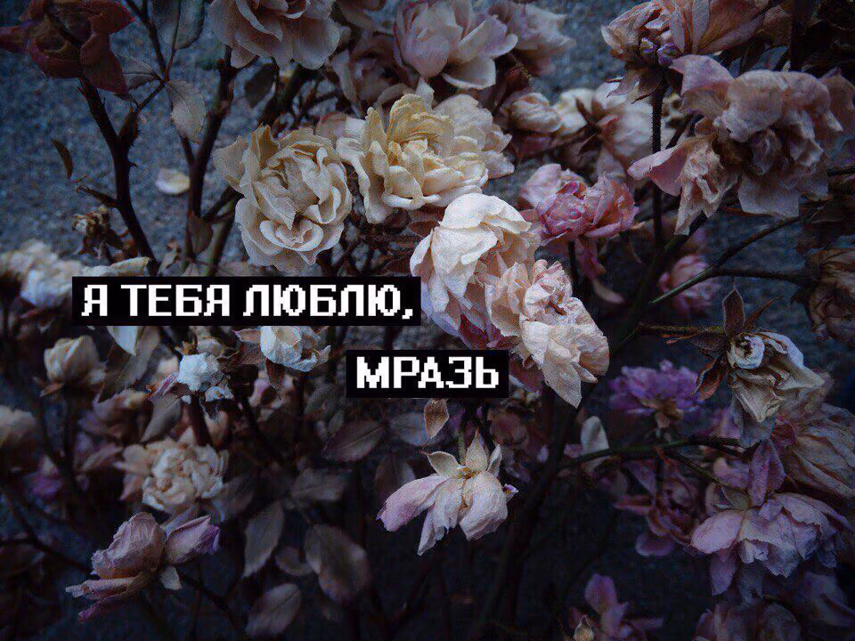 4a96229a791700e8b092be2f85d333f9.jpg