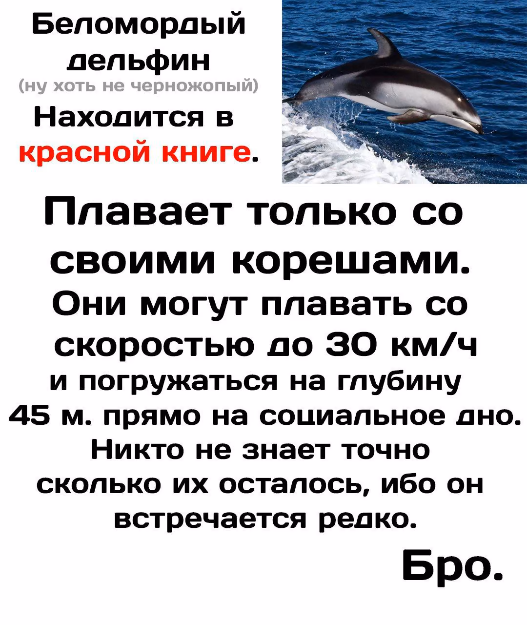 4a9e5cdf17cd96a7f2969dadca2de40d.jpg