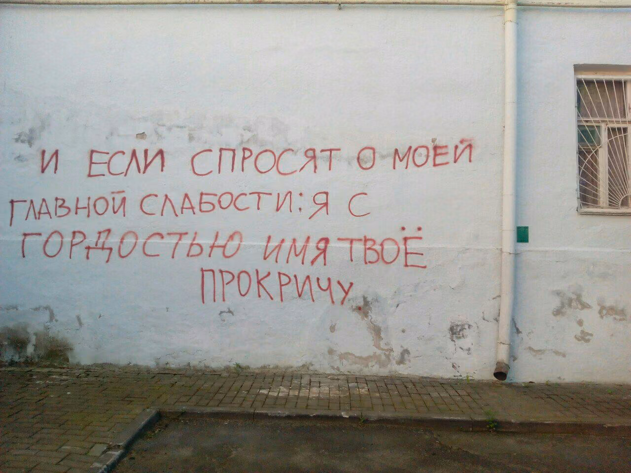 4abc8c44120283983c5cdf8f9b3b103c.avif