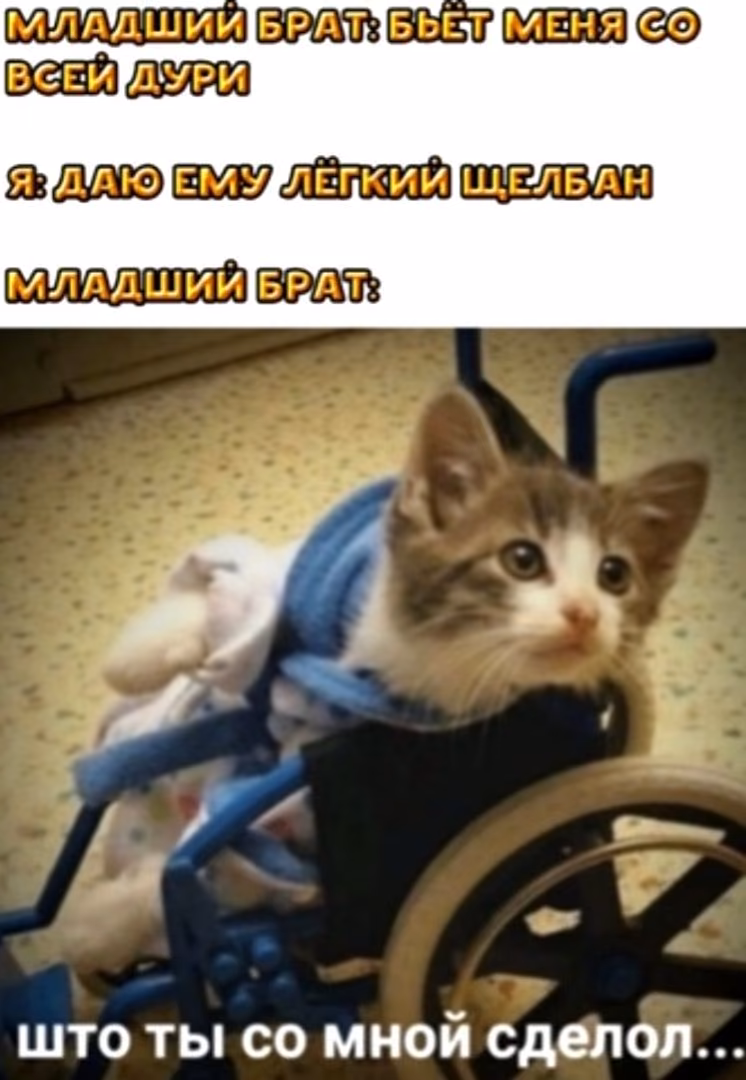 4ad3a8c418b53bc17528b58cef0f6f9f.jpg