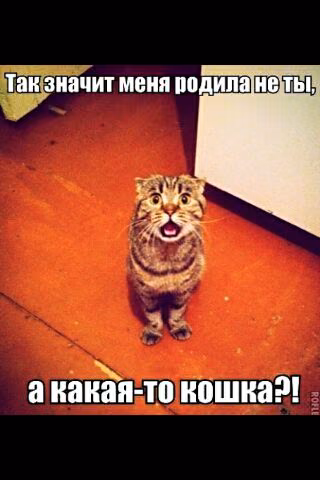 4ad52a4ab99a0e3a02c02a91f6f57a23.jpg