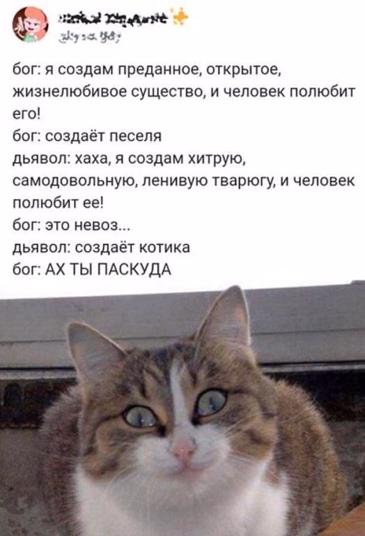 4ad59781e1dd68a69bb29a751de3fa3e.avif