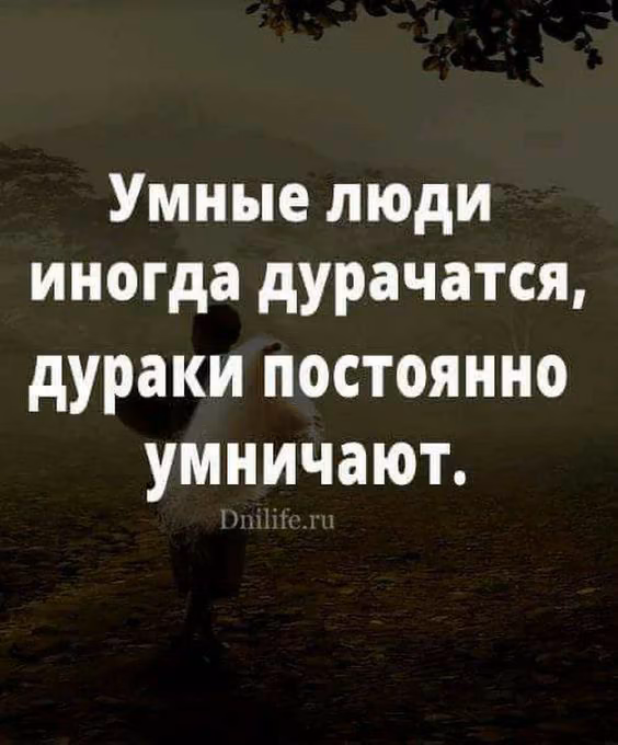 4ae326eda9dfa2d5f5f6e0bfa0b2fc93.jpg