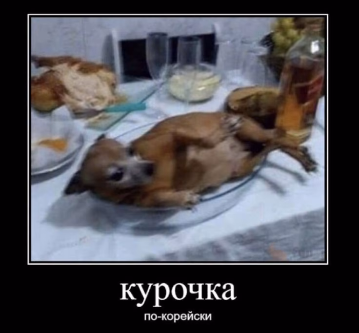 4ae5171b1c79db4c4c121cfb467f5919.jpg