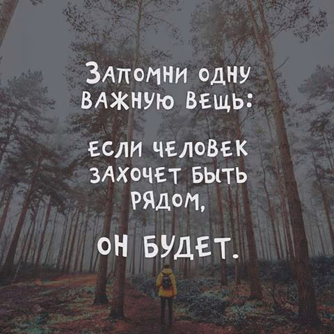 4aef987176e17cca594eddeee0633441.jpg