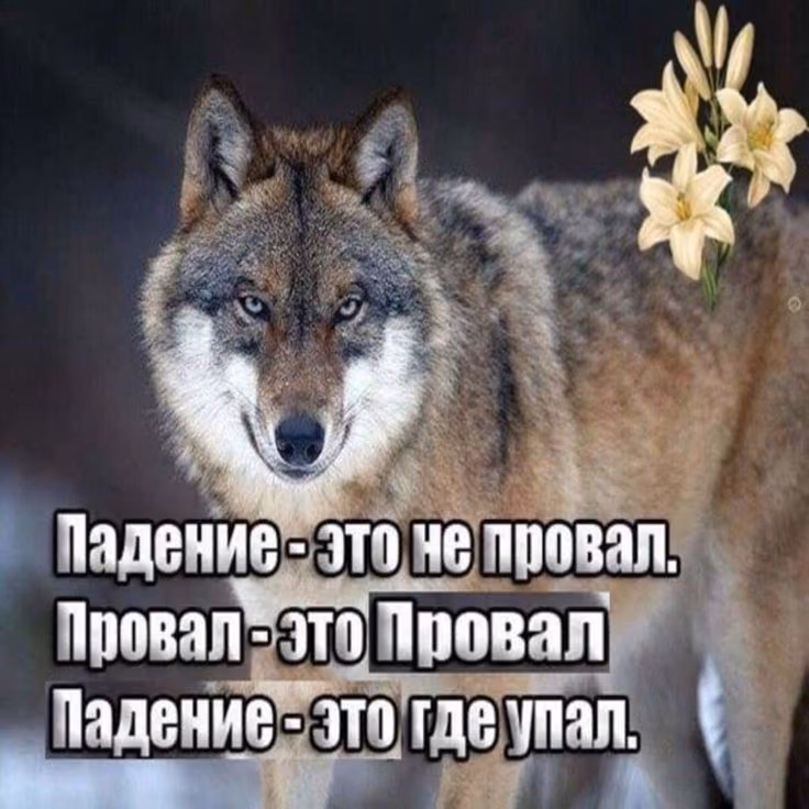 4af160a8f66175dd369b9150ac6b0347.avif