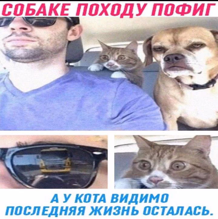 4b0f01238ce3f5493b46d60460605c05.avif