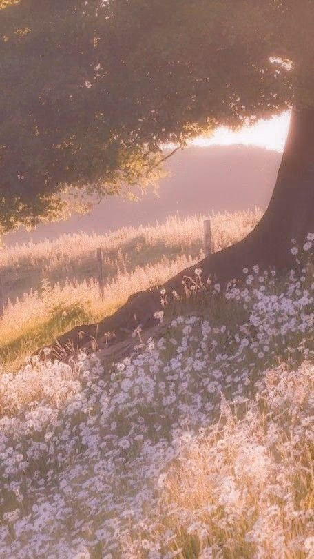 4b247f9beb4ffb008f661aa0739777c9.jpg