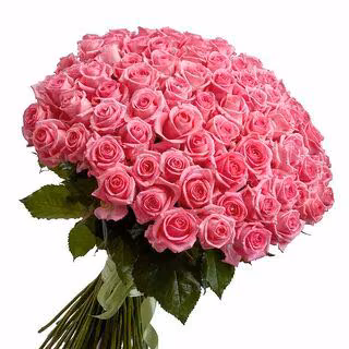 4b3ae385842f11e84cd1e2cdab990027.avif