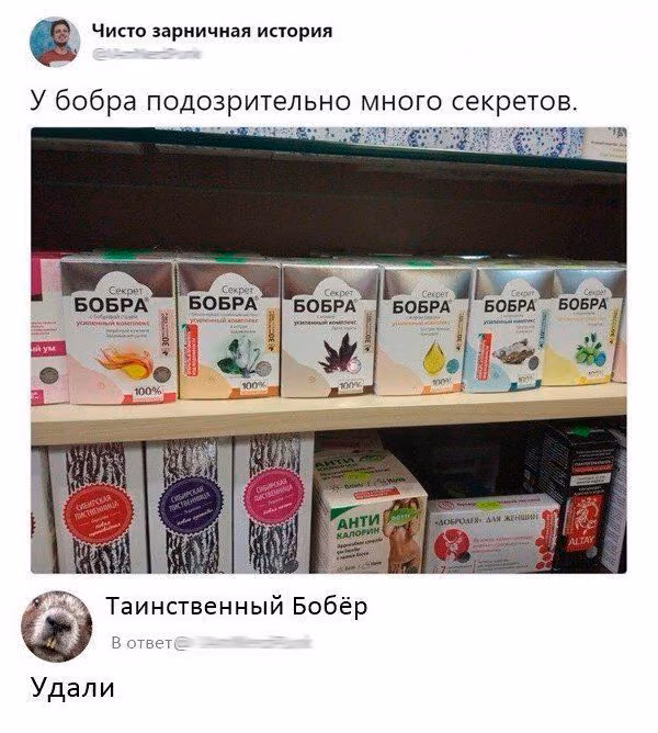 4b3b2e2b72783d8e4f25b29d66410f12.avif