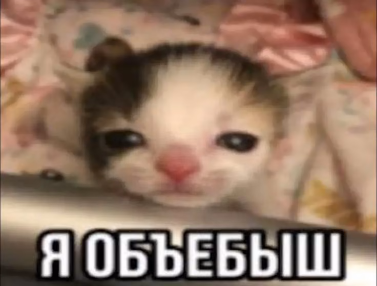 4b3fd2c621b12af1fe19be4abfb68e47.avif