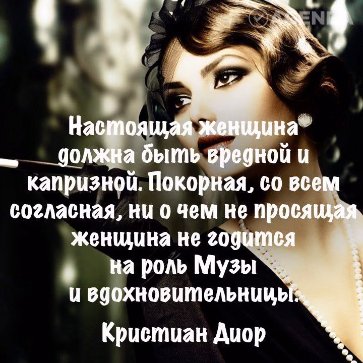 4b4a3fe8fec9571483fc2f69d3011845.avif