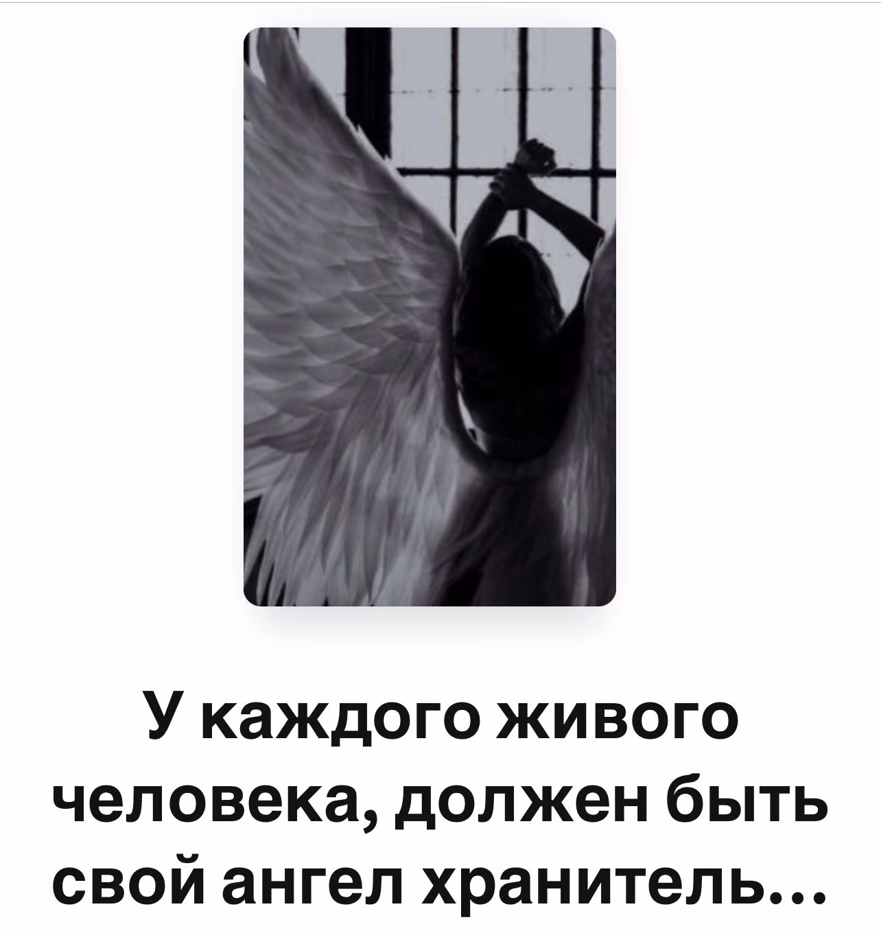 4b5704820f3b82d6bf7cf312902866b6.avif