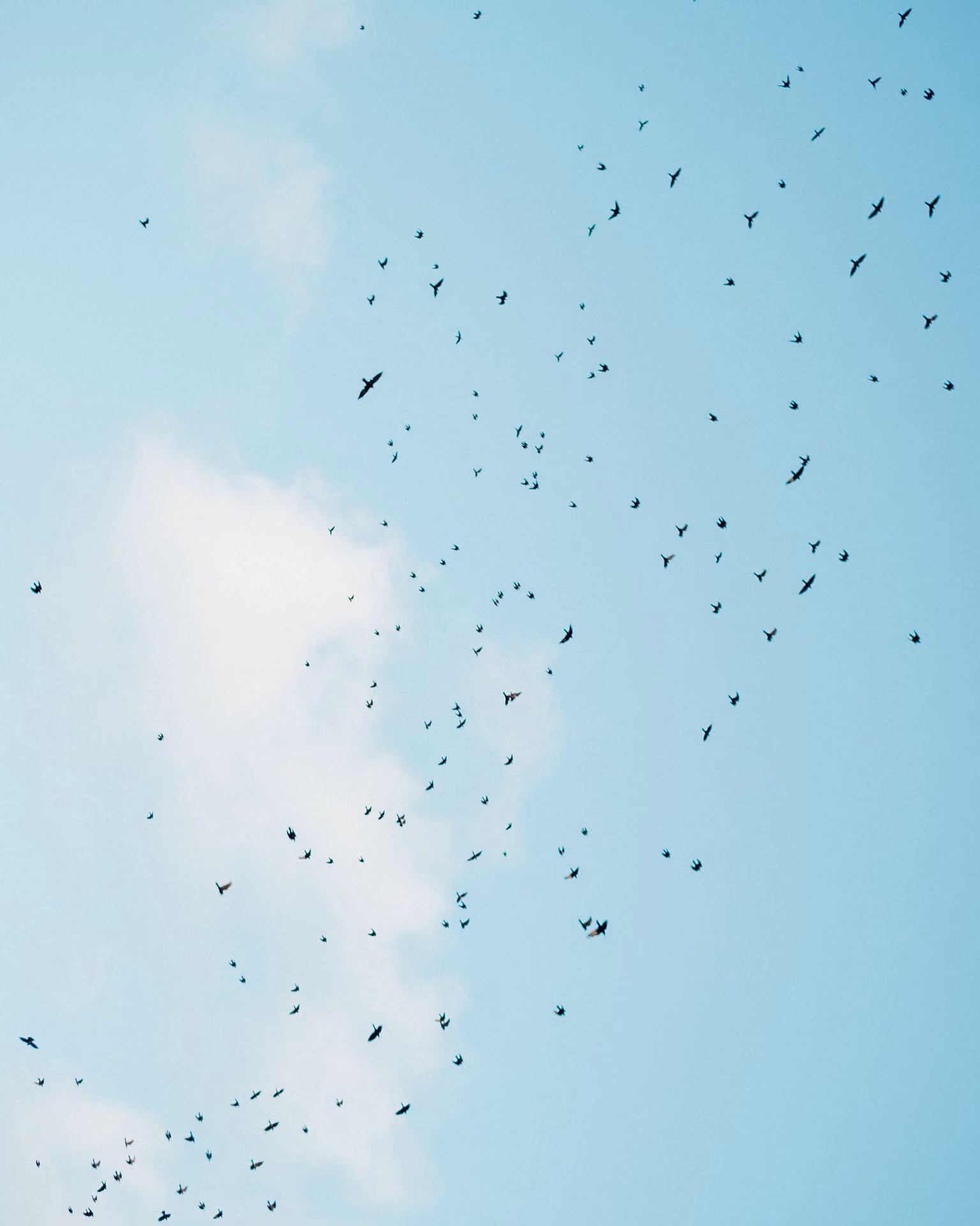 4b59b88c0ec91b5bf12de078bf58dbed.avif