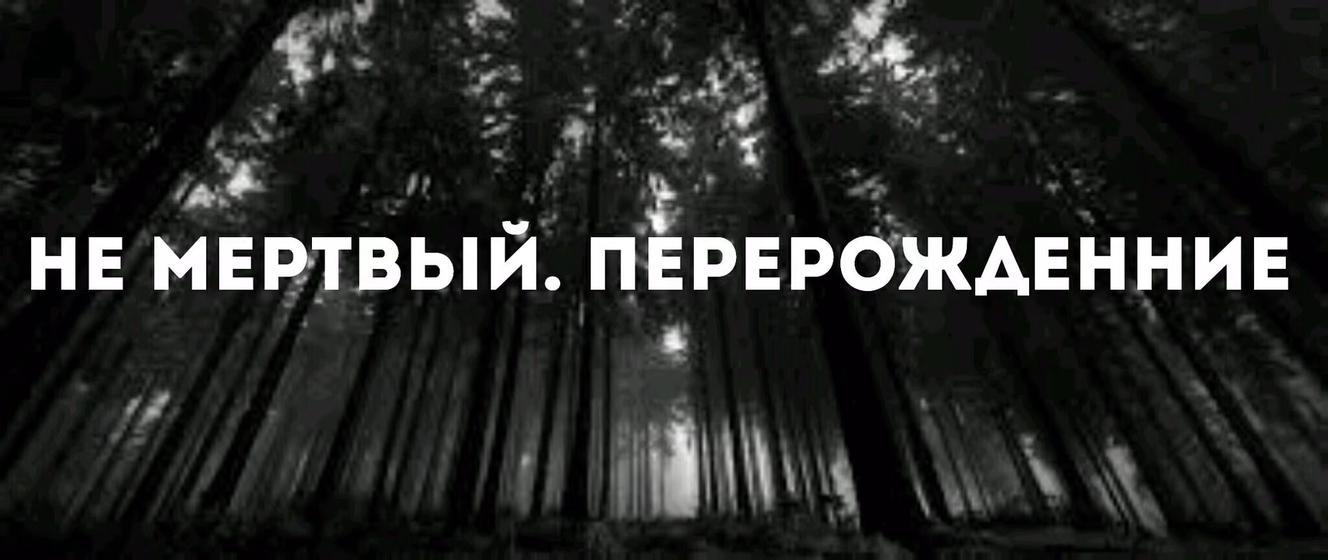 4b6b81689ca65ba9b60d4df6b61e3ebe.jpg