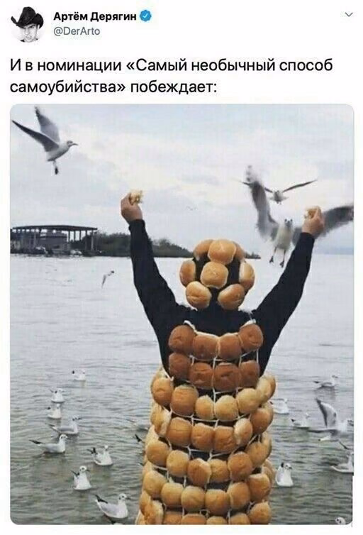 4b6c295cd4d9a3f9362fe14e4e1e02ca.avif