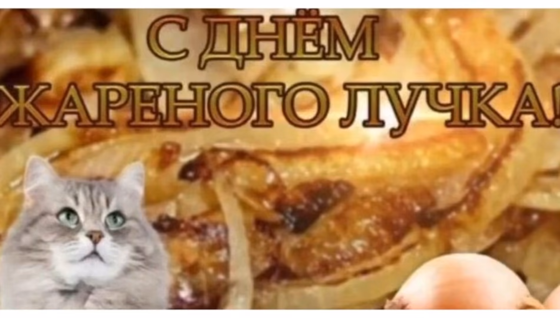 4b83e9bb5214810b00ea153710774923.jpg