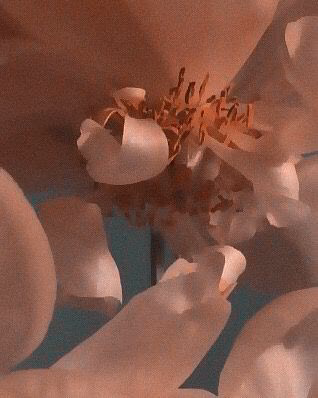 4b86e643d116231bb0df28c86f2afc70.jpg