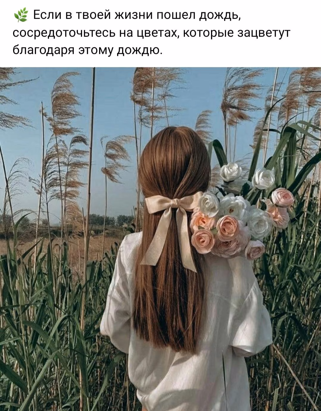 4b9b626dc01ea86d4f7defb22e4d3904.jpg