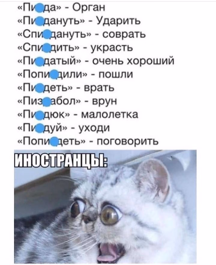 4b9ea52aca53bef95f9aeb1b68accfbb.avif