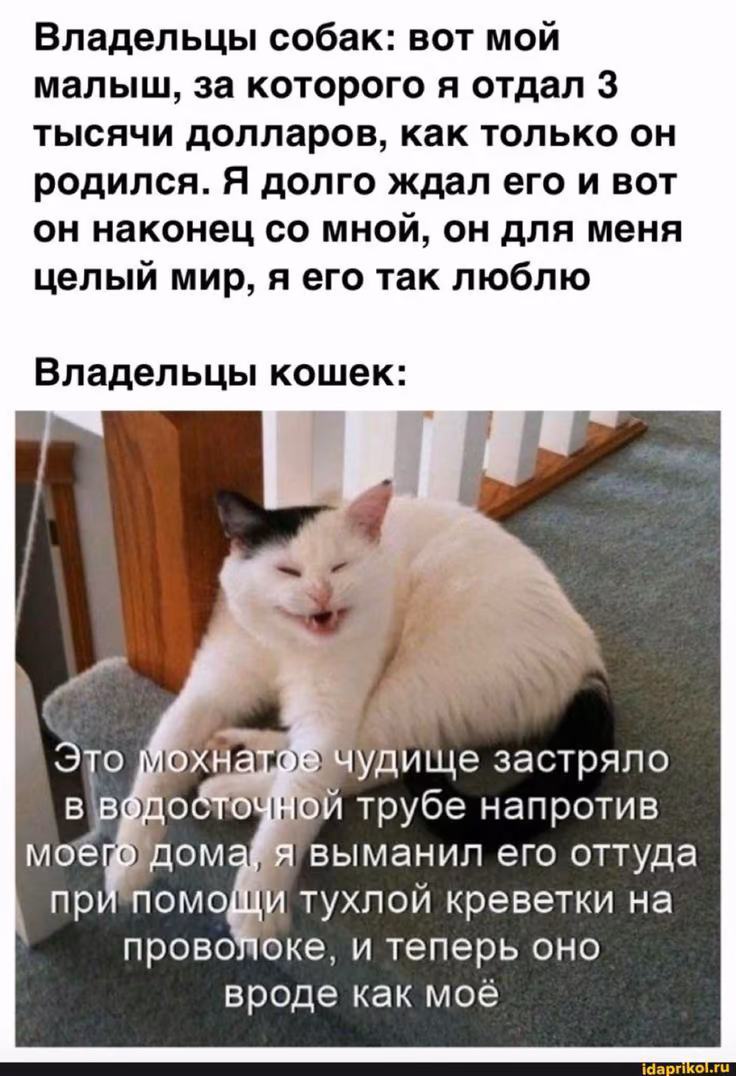 4ba71a58f3db78d4821740da64d6ed5d.avif