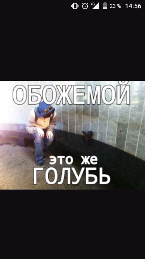 4bc11da79a885778c7e72adebc85616c.jpg