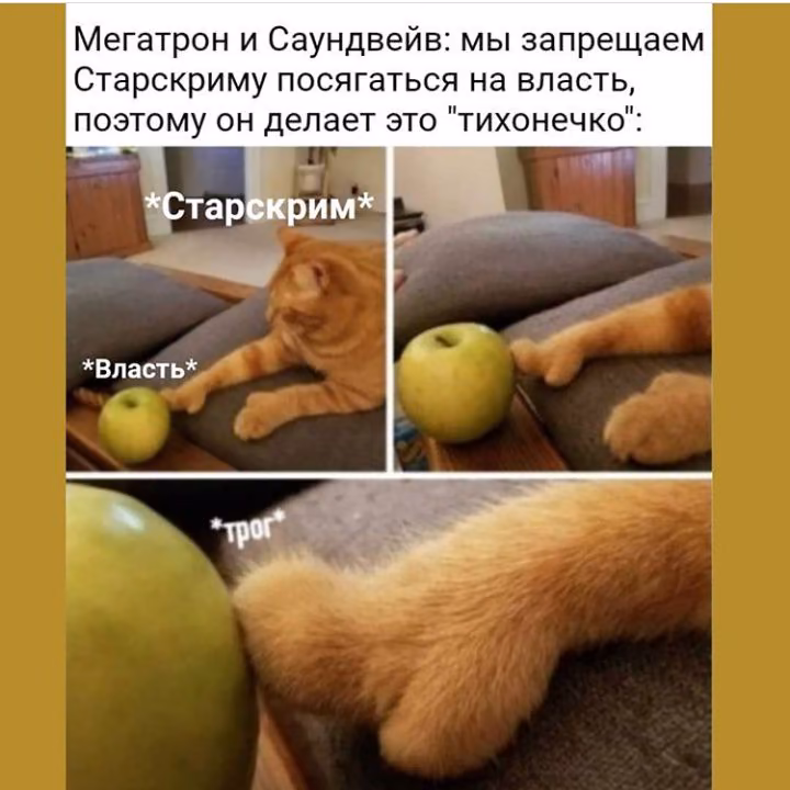4bc4c9875598bd309cd29721492fa9eb.jpg