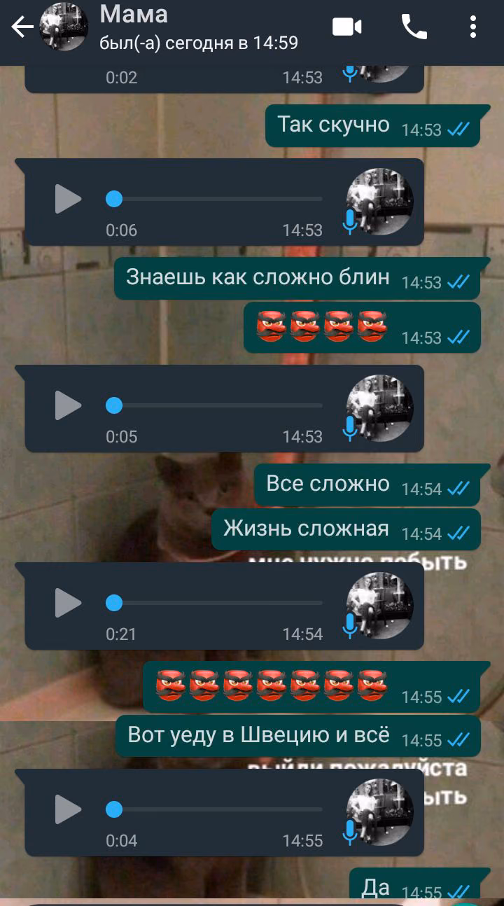 4bcf2ec0c5ab269a8b0f5bdfa3cb2f73.jpg