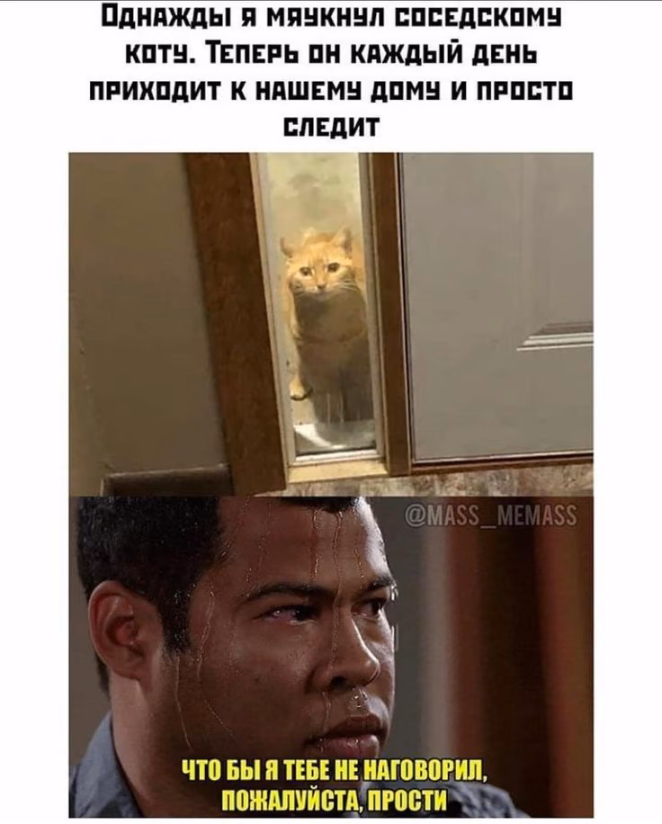 4be8ab4c4590d5db854e605b2326630b.avif