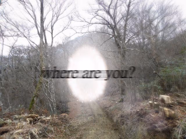 4bef9e99476e9979aa7894cc89ee6768.avif