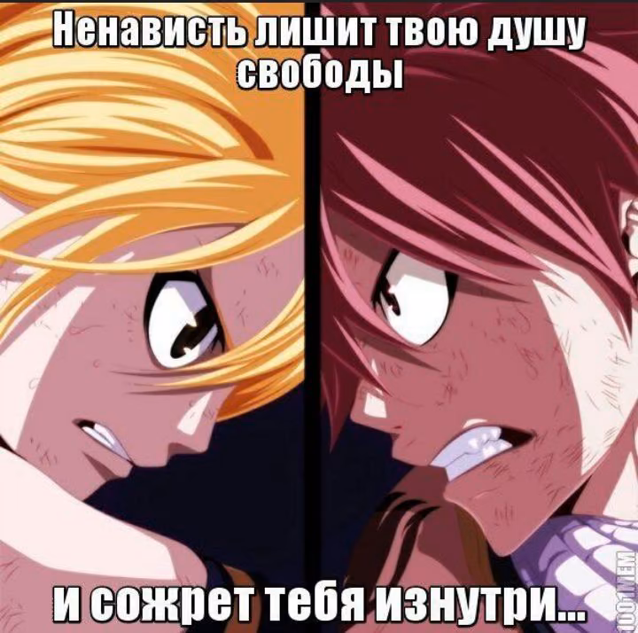 4bf542b5263fee512ba737b37fe72820.jpg