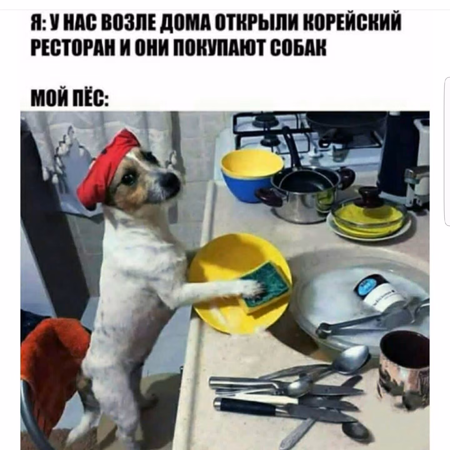 4c0f48bfd4255c77b8b284d82aaec3e9.avif