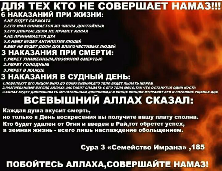 c8629234ceefcb838a8bb22427ad218a.jpg