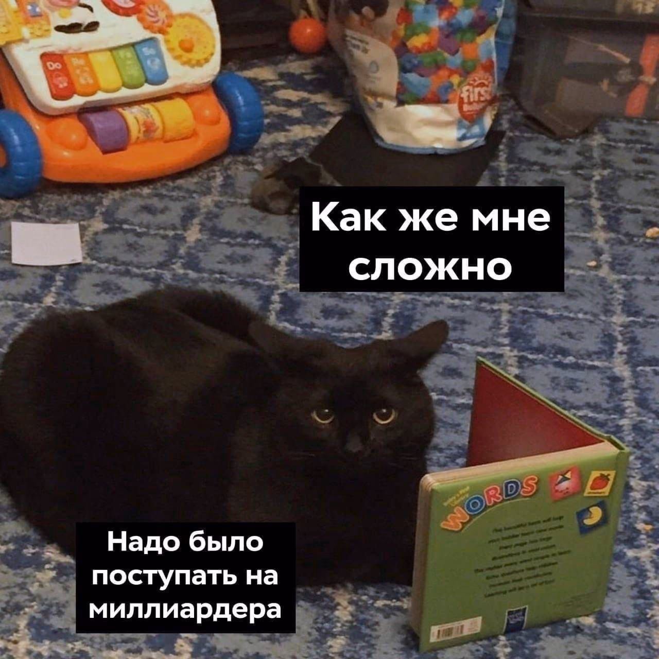 4c1a231f94c4b2c7d6152165b094de53.jpg
