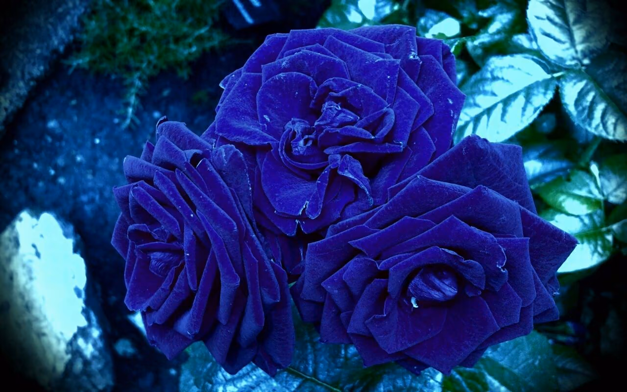 4c1d3fb02b0b83b03208fcbb850e9567.avif
