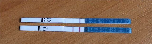 4c29c13376d03f0fca3dc7b7093a5695.avif