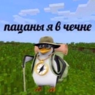 2738853d3168a5be83a7bd8434b43fce.jpg