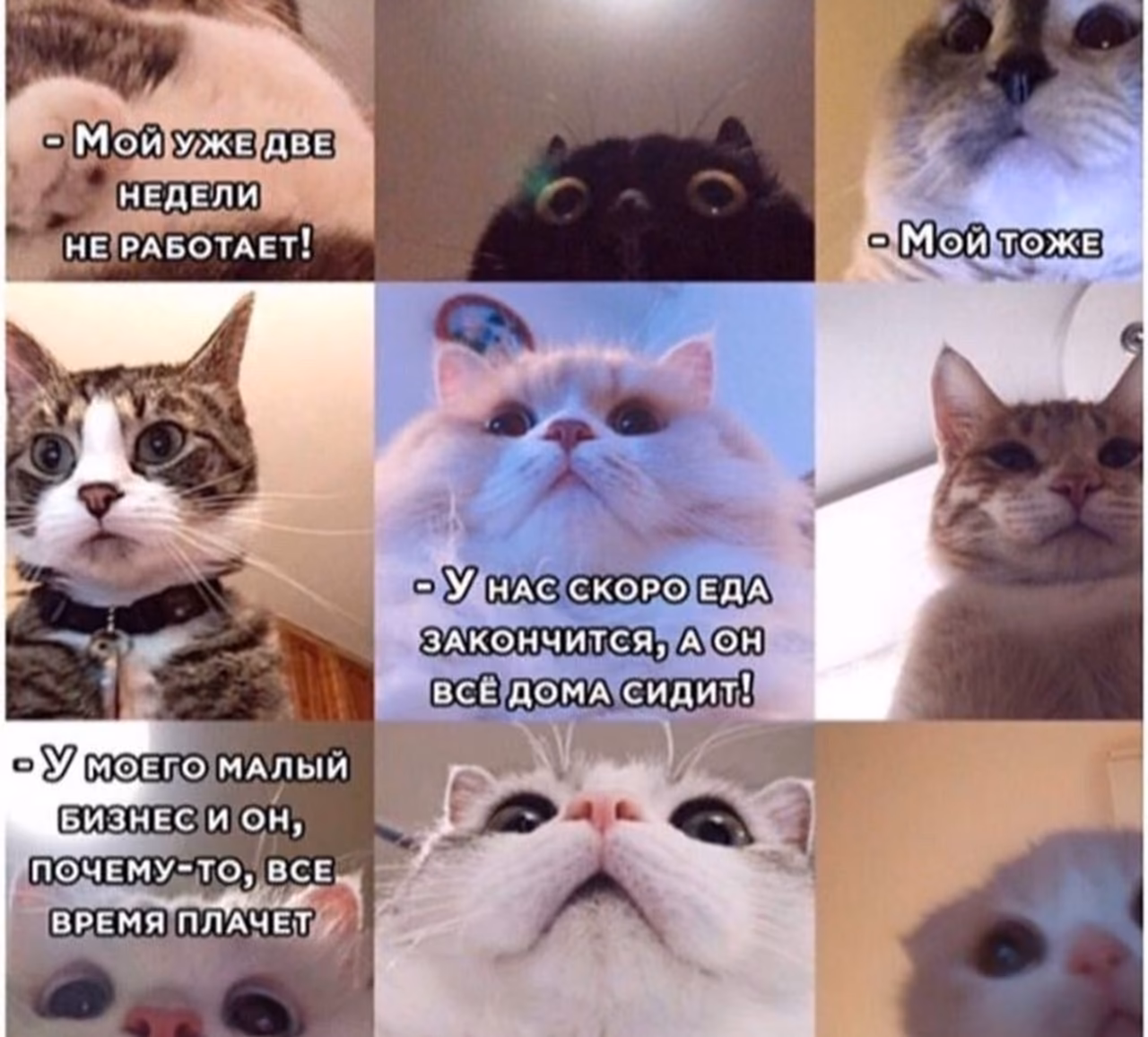 4c40c752124968c7b213f874b996bba6.jpg