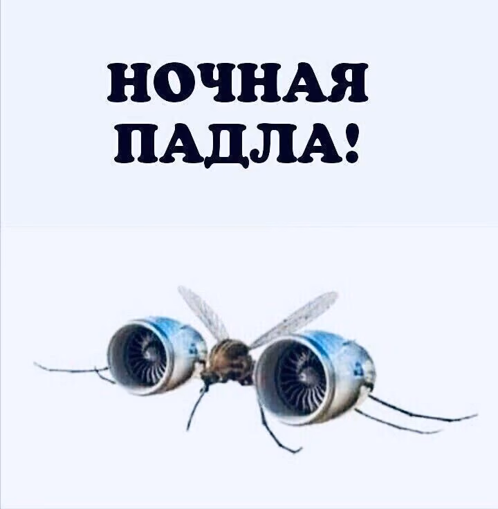 4c429b24fac8e489319c7def607ad299.avif