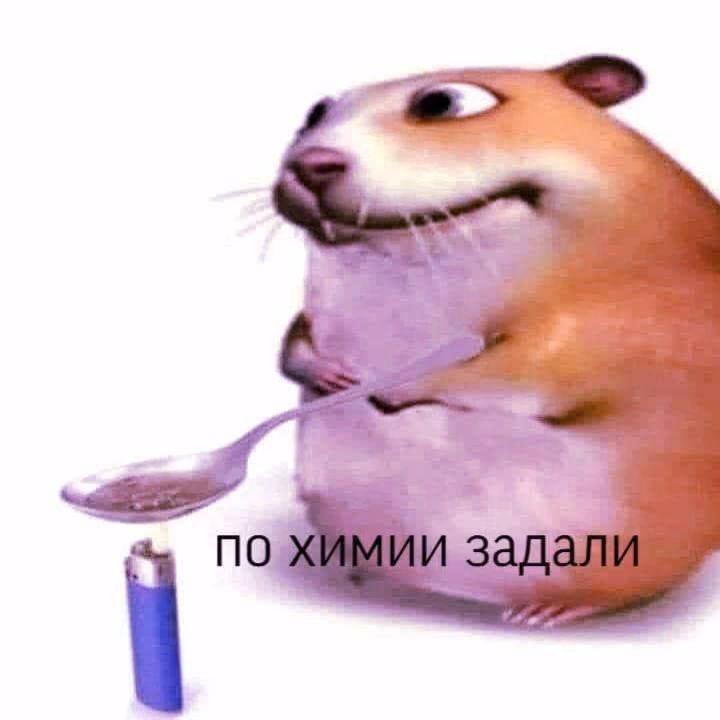 4c47a15e40a45d6e4a04ae56bb959ca9.avif