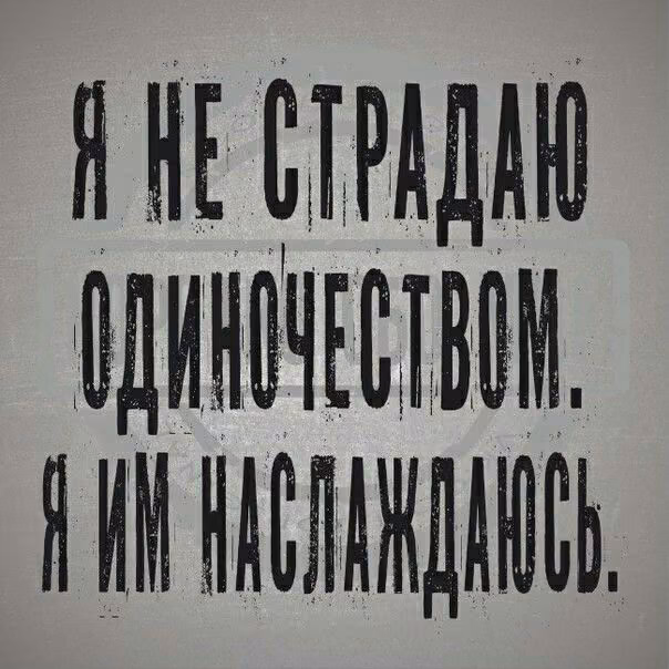 4c54316cad6115bc32dda79e9341b10e.avif