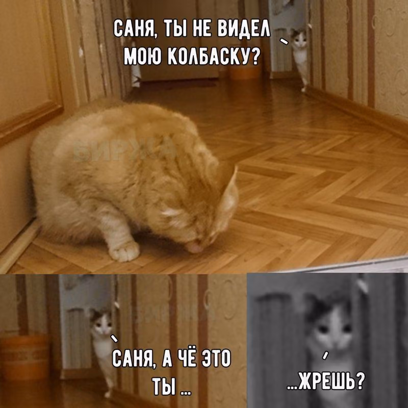 4c620e411c526899870c8e8f7da32eea.jpg