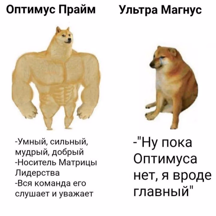 4c714cae0a2d85216cec05f4755ae631.jpg